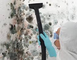 Biohazard Mold Removal in Bay Minette, AL